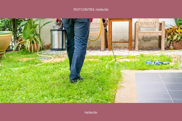 PEST CONTROL Hallsville